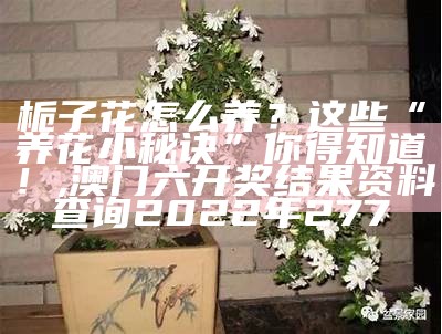 栀子花怎么养？这些“养花小秘诀”你得知道！, 澳门六开奖结果资料查询2022年277