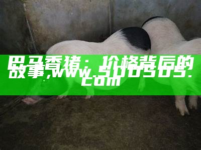 巴马香猪：价格背后的故事, www.500505.com