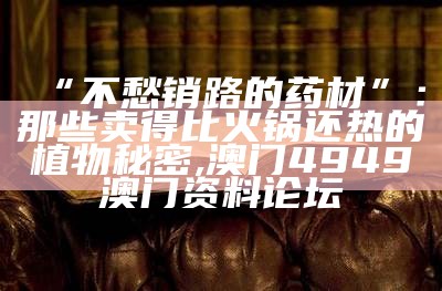 “不愁销路的药材”：那些卖得比火锅还热的植物秘密, 澳门4949澳门资料论坛