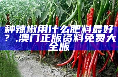 种辣椒用什么肥料最好？, 澳门正版资料免费大全版