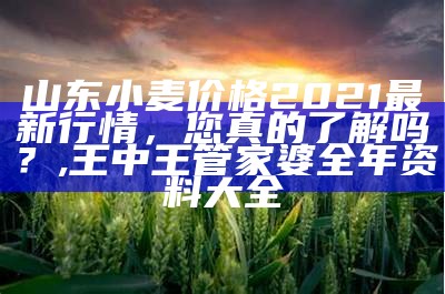 山东小麦价格2021最新行情，您真的了解吗？, 王中王管家婆全年资料大全