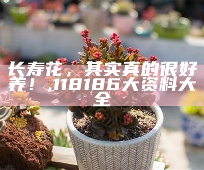 长寿花，其实真的很好养！, 118186大资料大全