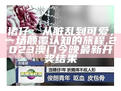 猪仔：从脏乱到可爱，一场颠覆认知的旅程, 2023澳门今晚最新开奖结果