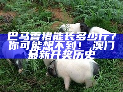 香猪养殖：从新手到专家的养殖秘诀, 99814.com