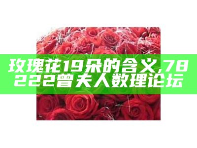 玫瑰花19朵的含义, 78222曾夫人数理论坛