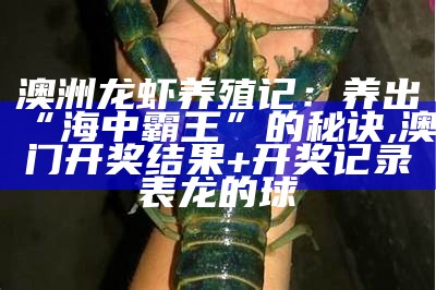 澳洲龙虾养殖记：养出“海中霸王”的秘诀, 澳门开奖结果+开奖记录表龙的球