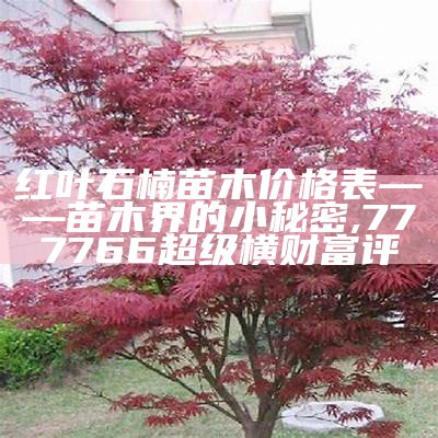 红叶石楠苗木价格表——苗木界的小秘密, 777766超级横财富评