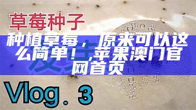 家庭种植草莓，这样做，草莓笑开花！, 47777777现场开奖直播