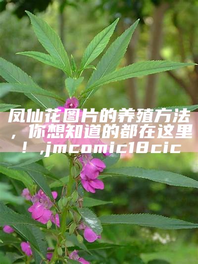 凤仙花：不仅仅是传说中的仙花, 平特二连肖10元多少倍