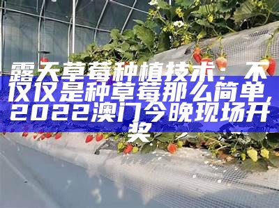 露天草莓种植技术：不仅仅是种草莓那么简单, 2022澳门今晚现场开奖