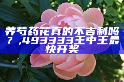 芍药花家庭种植禁忌，新手必看的那些“坑”, 澳门最精准免费资料