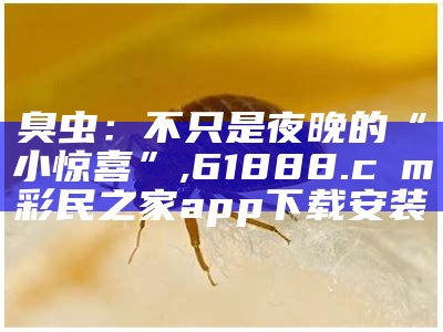 臭虫：不只是夜晚的“小惊喜”, 2023今天澳门开奖结果直播