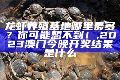 龙虾养殖基地哪里最多？你可能想不到！, 2023澳门今晚开奖结果是什么