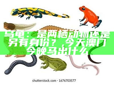 乌龟：是两栖动物还是另有身份？, 今天澳门今晚马出什么