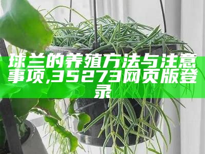 球兰的养殖方法与注意事项, 35273网页版登录