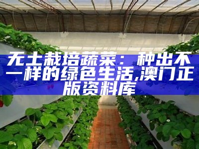 无土栽培蔬菜：种出不一样的绿色生活, 澳门正版资料库