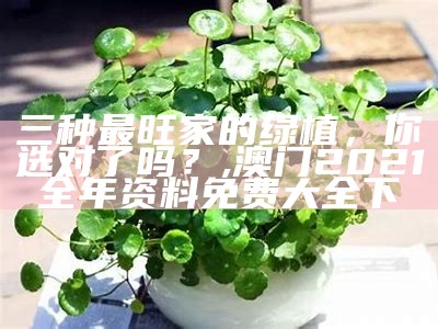 三种最旺家的绿植，你选对了吗？, 管家婆精准资料期期准39期