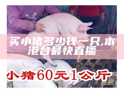 30斤与50斤仔猪的“价格”大揭秘, 精准十码中特正确