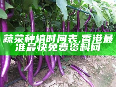 蔬菜种植时间表, 香港最准最快免费资料网