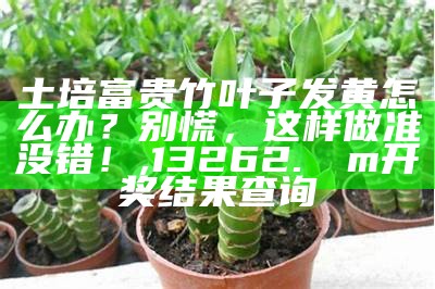 土培富贵竹叶子发黄怎么办？别慌，这样做准没错！, 13262.соm开奖结果查询