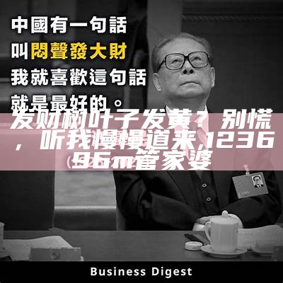 发财树叶子发黄？别慌，听我慢慢道来, 123696m管家婆