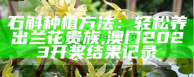 石斛种植方法，原来这么简单！, 229333.cσm管家婆