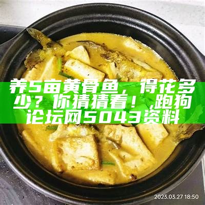 养5亩黄骨鱼，得花多少？你猜猜看！, 跑狗论坛网5043资料