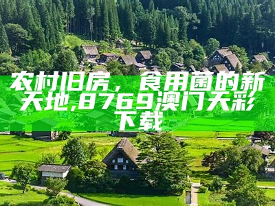 农村旧房，食用菌的新天地, 8769澳门天彩下载