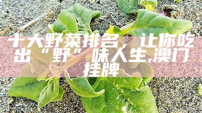 十大野菜排名，让你吃出“野”味人生, 澳门挂牌