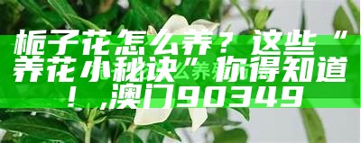 栀子花的养殖，原来也有“大学问”, 37655皇博神算