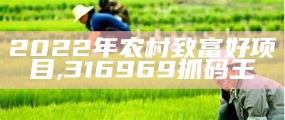 2022年农村致富好项目, 316969抓码王