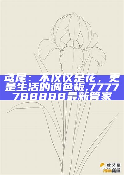 鸢尾：不仅仅是花，更是生活的调色板, 7777788888最新管家