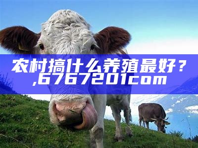 目前农村搞什么养殖业最好？, 刘伯温十码三期必中