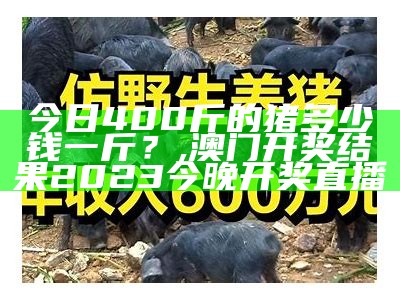 300斤左右生猪价格：一个“大”话题, 澳门新三码必中一免费