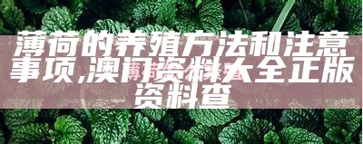 薄荷的养殖方法和注意事项, 澳门资料大全正版资料查