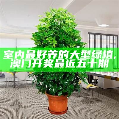 家庭适合养殖的花卉植物, 刘伯温的特吗179595