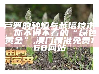 芦笋的种植与栽培技术，你不得不看的“绿色黄金”, 123696澳门六下资料2021年