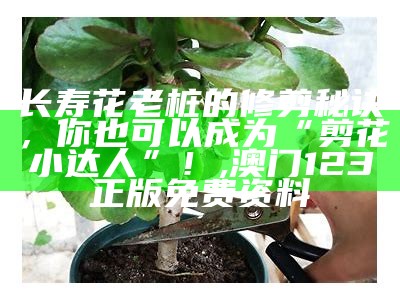 长寿花的养殖与修剪，其实也没那么难！, 香港澳门开奖结果+开奖结果记录2023