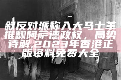 叙反对派称入大马士革推翻阿萨德政权，局势待解, 2023年香港正版资料免费大全