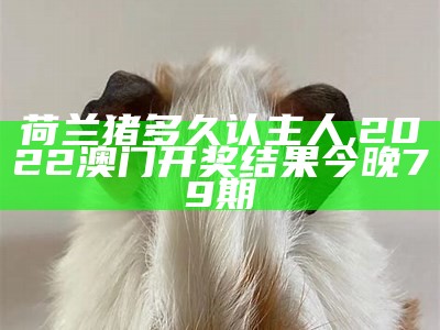 荷兰猪能长多大？, 7777788888管家婆一网