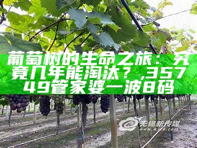 葡萄树的生命之旅：究竟几年能淘汰？, 35749管家婆一波8码