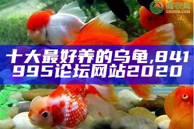 十大最好养的乌龟, 841995论坛网站2020