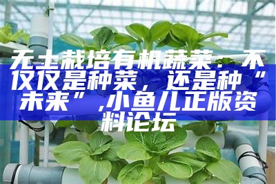 无土种植蔬菜的新技术，让都市农夫也能“手到菜来”, 118开奖站_澳门