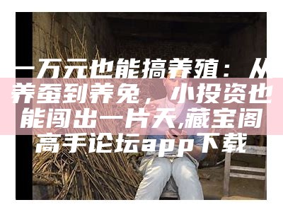 养殖业啥最赚钱？投资小还能赚大钱？这些秘密你绝对不知道！, 澳门开奖2023开奖记录结果表