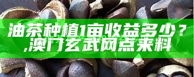 油茶种植1亩收益多少？, 澳门玄武网点来料