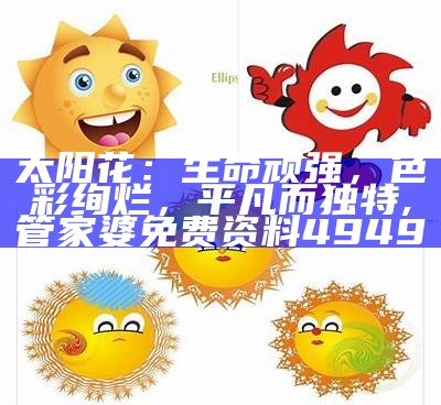 太阳花：生命顽强，色彩绚烂，平凡而独特, 猪前狗后结亲家是什么生肖