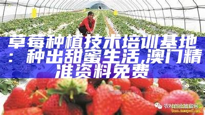 草莓种植技术培训基地：种出甜蜜生活, 澳门精准资料免费