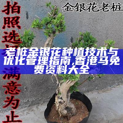 老桩金银花种植技术与优化管理指南, 香港马免费资料大全