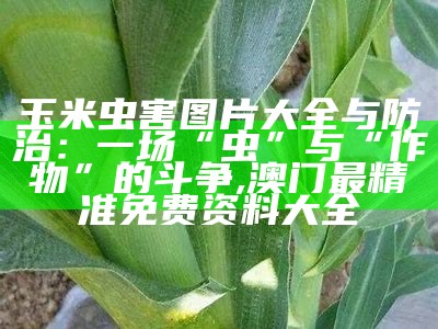 玉米虫害图片大全与防治：一场“虫”与“作物”的斗争, 澳门最精准免费资料大全