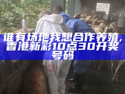 谁有场地我想合作养殖, 香港新彩10点30开奖号码